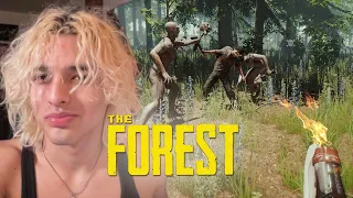 FAB LOST IN THE FOREST