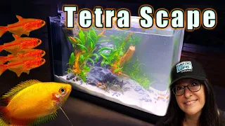 AQUATOP PISCES 5G Aquascaping Contest 2022 | HOW TO VOTE AND ENTER TO WIN ONE! | the small scape