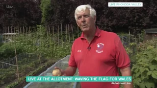 Live At The Allotment: Waving The Flag For Wales | This Morning