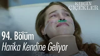 Harika kendine geliyor - Kırgın Çiçekler 94. Bölüm