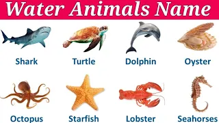 Water animal | Sea animal | जलीय जीवों के नाम | Water animal vocabulary for kids | 20 animals name