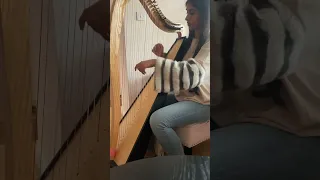 Raatan Lambiyan #bollywood #desi #harpist #harp