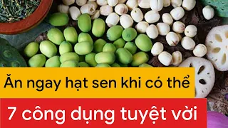 Hạt sen ăn có tốt không? 7 tác dụng tuyệt vời từ hạt sen