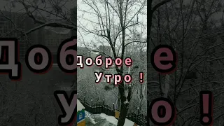 ДОБРОЕ УТРО!Желаю Самого Доброго Солнечного Утра!Замечательная песня ! Музыкальная открытка! #Shorts