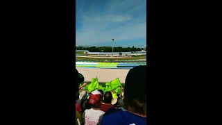 Misano MotoGp 2019 Brutapela Gold view ✨