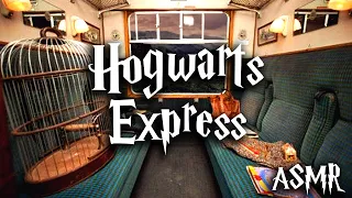 Hogwarts Train | Harry Potter ASMR Ambience 🧙🏼‍♂️✨ (with dialogue)