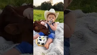 cow and baby #cow #shorts #baby #viral
