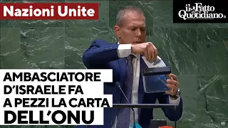 Ambasciatore d'Israele all'Onu fa a pezzi la carta delle Nazioni Unite in un tritacarte: "Vergogna"