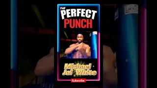 Michael Jai White - The Perfect Punch Technique