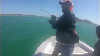 Fishing for trophy Shad in Langebaan Lagoon, West Coast