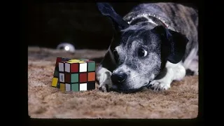 Watching EVERY Rubik's Cube World Record  -  3x3, 4x4, 5x5, Foot, Blind, MORE!