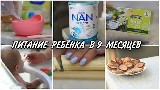 ПРИКОРМ 🍵/ РАЦИОН НА 2 ДНЯ 🍽/ ЧЕМ КОРМЛЮ ДОЧКУ🥦/ ПИТАНИЕ РЕБЁНКА В 9 МЕСЯЦЕВ🍎