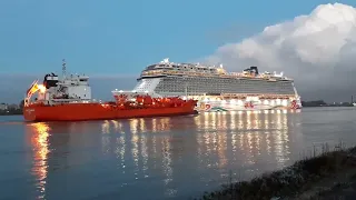 Norwegian Joy at Rotterdam. 11.02.2024 KOLLER SEEREISEN www.Schiffsfotos.info