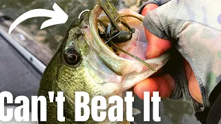 The #1 BASS LURES For SPRING (Spring Bass Fishing Tips)