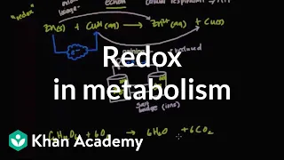 Oxidation and reduction in metabolism | Biomolecules | MCAT | Khan Academy