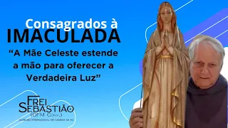 “A Mãe Celeste estende a mão para oferecer a Verdadeira Luz" - Frei Sebastião B. Quaglio.