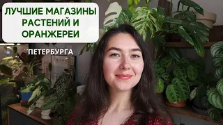 Куда сходить ЦВЕТОВОДУ в Санкт-Петербурге / Магазины РАСТЕНИЙ, кафе, ОРАНЖЕРЕИ и ботанические САДЫ