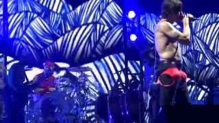 Red Hot Chili Peppers   MULTICAM Brooklyn 2014 Under The Bridge HD