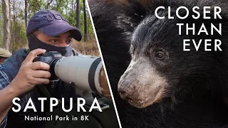 Wildlife Photography in Satpura National Park | TIGER COUNTRY Ep. 3 - New Life (Canon R5 8K)