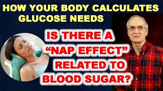 How Your Body Calculates Insulin Needs / Is there a "Nap Effect" related to Glucose?