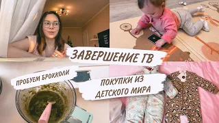 ЗАВЕРШЕНИЕ ГВ🫢ПОКУПКИ ОДЕЖДЫ😍ПЕРВЫЙ ПРИКОРМ🥦ДОМАШНИЙ ВЛОГ