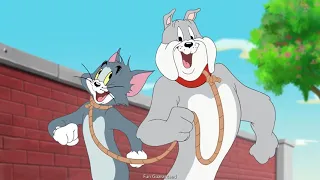 Tom & Jerry Tales S2 - Cat Whisperer 2