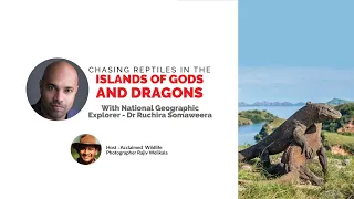 Chasing reptiles in The Islands of Gods & Dragons