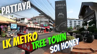 Pattaya LK Metro + Tree Town + Soi Honey 2/Jan/23 Hangover!!!