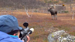 Älgjakt till fjälls trailer