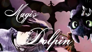 Magic dolphin - Иккинг и Беззубик
