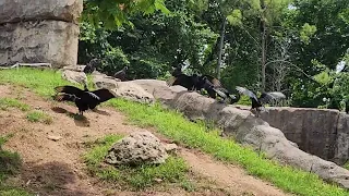 Arriving at the Waco Zoo