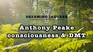 Anthony Peake consciousness DMT