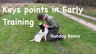 Mastering Retrieve body positioning "Gundog basics series"