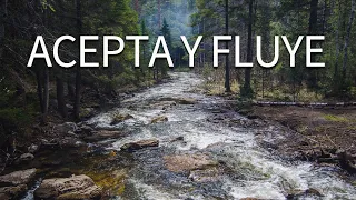 Meditación para la ACEPTACIÓN 🦋 Aceptar los cambios y fluir