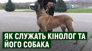 7 років на КПП "Ужгород": як служать кінолог та його собака