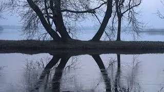 Weerbericht vrijdagmiddag: Regen