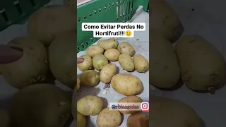 Como evitar perdas no hortifruti!😉