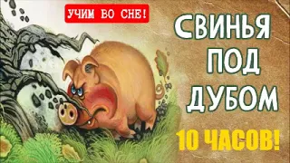 СВИНЬЯ ПОД ДУБОМ / УЧИМ ВО СНЕ / Басни Ивана Крылова / 10 часов!