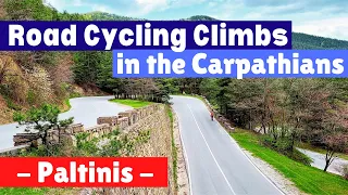 Road Cycling the Carpathian Mountains: The Paltinis Climb near Sibiu city. Cycling in Romania.