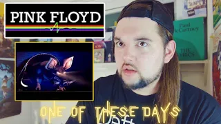 Drummer reacts to "One of These Days" (Live) by Pink Floyd