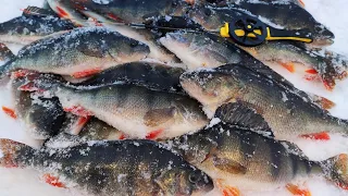 Окунь ЗАГИБАЄ на БЕЗМОТИЛКУ. 🎣 Вона працює завжди. 🐟 Зимова рибалка. 🎣🐟 Підводна зйомка.