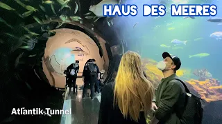 Aqua Terra Zoo Vienna - Haus des Meeres 🐟🐠🦈