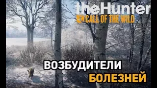 the hunter call of the wild(Medved-Taiga) # Возбудители болезней