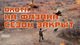 Охота в Казахстане, Фазан, Заяц, Каратал, MIX KZ