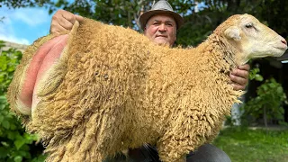 My Husband's Favorite Food: 25 KG Whole Ram & Traditional Holiday in the Village!