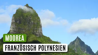 🇵🇫 Französisch Polynesien • Moorea • Wandern auf den Gesellschaftsinseln in der Südsee