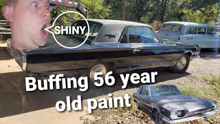 How to make faded paint shine 1966 Thunderbird Revival Clean up part 2