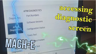 Diagnostic screen | Ford Mustang Mach E