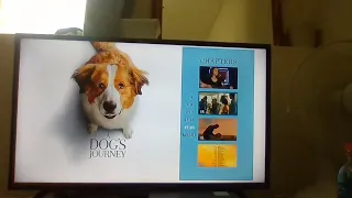 Opening/Closing To A Dogs Journey DVD (2019)