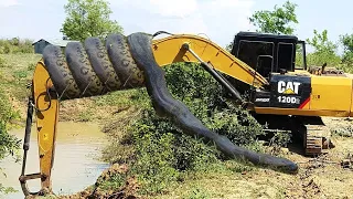 WOW Dangerous Excavator Catch Biggest Snake - Heavy Equipment Machines Fails | Win Working Skills